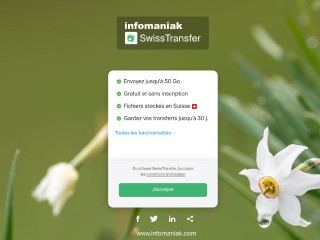 Screenshot sito: Swiss Transfer