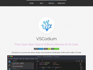Screenshot sito: VSCodium