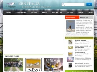 Screenshot sito: EBN Italia
