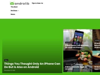 Screenshot sito: Androlib