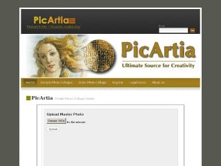 Screenshot sito: Picartia
