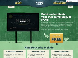 Screenshot sito: Ning