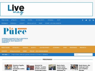 Screenshot sito: La Pulce Online