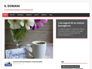 Screenshot sito: Il Domani