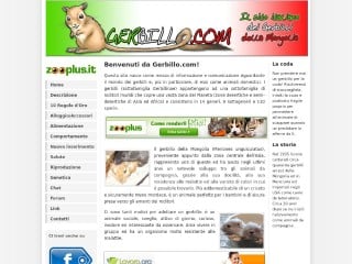 Screenshot sito: Gerbillo.com