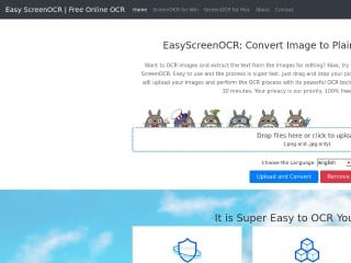 Screenshot sito: EasyScreenOCR Online