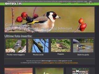 Screenshot sito: Birds.it