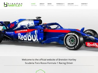 Screenshot sito: Brendon Hartley