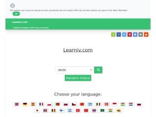 Screenshot sito: Learniv.com