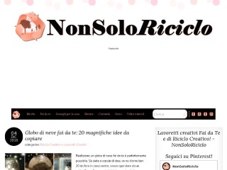 Screenshot sito: NonSoloRiciclo